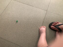 帮宝适散热王者新一级帮拉拉裤XL64夏季超薄透气速干婴儿尿不湿尿裤 实拍图