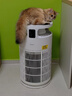 美的家用宠物空气净化器 吸猫毛除过敏源猫猫搭子猫毛净化器杀菌消毒除猫狗异味 卫健委备案 小怪兽PET500【宠物专享】 实拍图