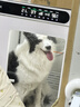 伯纳天纯狗粮中大型犬全价成年犬粮17kg羊肉蔓越莓味囤货装 实拍图