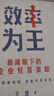 效率为王 新周期下的企业经营策略 卫哲 著 现金为王 利润为王 存量时代 企业管理 企业经营 阿里巴巴前CEO 嘉御基金创始人卫哲 实拍图