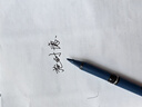 施耐德（Schneider）直液式中性笔 大容量超顺滑签字笔办公学生考试用水笔开学必备用品0.6mm纤维尖星际-黑183041 实拍图