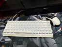 迈从（MCHOSE）Ace 68 V2磁轴键盘Gus同款RT电竞游戏低延迟60pro机械有线连接68键配列FPS双驱动无畏契约 Ace 68 电竞版 白色 蓝冰磁轴 实拍图