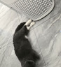 美的（Midea）【母婴级】价保618空气净化器鼻炎家用除甲醛除烟味异味过敏原空气净化机森林家L1 Lite 实拍图
