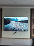 小米【价保618】电视S Pro Mini LED 98英寸 2026款 5700nits 3864分区 330Hz低反屏 100  L98MC-SP 实拍图