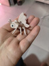 星星舟3d立体拼图3-6岁儿童玩具益智手工diy趣味昆虫恐龙六一节儿童礼物 【全套4款】共100张 实拍图