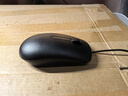 戴尔（DELL）MS116鼠标有商务办公经典对称有线鼠标USB接口即插即用鼠标（黑色） 实拍图