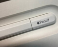Apple/苹果 Pencil Pro 磁吸触控笔手写笔苹果笔电容笔书写绘画iPad笔 适用于iPad Pro/Air/mini机型 实拍图