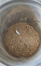 小熊（Bear）研磨机磨粉机家用 电动咖啡磨豆机料理机中药粉碎机 药材小型打粉机 MDJ-D02H1【价保618】 实拍图