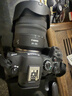 Canon佳能r62全画幅高端专业微单数码照相机佳能r6二代视频直播高清相机 R6二代+RF24-105 IS USM镜头套装 官方标配【不含内存卡配件 推荐购买套餐】 实拍图