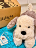 Jellycat唐布利牧羊犬动物毛绒玩偶安抚玩具狗公仔娃娃送礼儿童节生日礼物 唐布利牧羊犬 Medium 实拍图