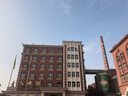雅斯妮儿童玩具毛绒电动仿真宠物猫会动会叫带牵绳3-6岁女孩生日礼物 实拍图