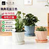 九千谷花盆欧式简约创意加厚塑料三色混装中号3个装办公桌面带托盘4276 实拍图