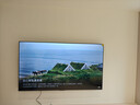 东芝电视【价保618】85Z500QF 85英寸Mini LED控光 264Hz 4+128GB 火箭炮音响 4K超清 家电国家补贴 实拍图