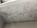 童贝恩除霉魔盒除霉味神器房间除湿去霉斑霉菌墙体墙面卫生间厨房吸附剂 实拍图