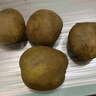 京喜加新鲜黄心土豆农家自种黄皮马铃薯黄心洋芋减脂早餐新鲜蔬菜 黄心土豆 250g 净重 50g起/单果 实拍图