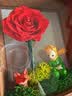 RoseBox生日礼物永生花小王子玫瑰花结婚纪念日新婚送女朋友新娘高级实用 实拍图