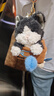 babycare&BCT猫咪小旋风毛绒挂件玩偶玩具包包配饰可爱礼物送礼-纸箱卷卷 实拍图