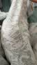 婧麒（JOYNCLEON）月子服夏款纯棉孕妇睡衣产后哺乳透气可外出家居服  L Jyz154236 实拍图