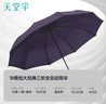 天堂伞 全自动雨伞三折 10骨加固一键开收易甩干简约商务自动雨伞 紫兰 实拍图