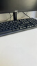 小熊（Bear）【价保618】电烤箱 10L家用多功能 迷你容量S型发热管 定时控温旋钮操控 免预热小型烤箱 F10N3 实拍图