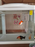 森森（SUNSUN） 鱼缸水族箱金鱼缸带灯鱼缸过滤器玻璃鱼缸桌面鱼缸 白色 高清玻璃HR-230（不带18件） 实拍图