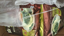 益昌老街（AIK CHEONG OLD TOWN）2+1原味速溶白咖啡粉 冲调饮品 马来西亚进口 50条1000g 实拍图