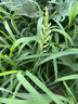 华为MateView SE 27英寸 高清 IPS全面屏 100Hz高刷 电脑办公显示器 莱茵护眼 标准版 实拍图