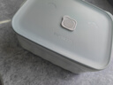 北鼎（Buydeem）陶瓷猪猪饭盒便携保鲜盒上班族学生带饭餐盒蒸锅烤箱适用浅衫绿 实拍图