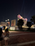京呈NPG-67粉盒适用佳能C3520碳粉C3222L c3226 /3530/3320/3125/3020/3730 C3120L/3130L打印机墨碳粉盒硒鼓 NPG-67 大容量黄色(21000 实拍图