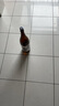 奥飞騨龙吟上选清酒 1800ml 纯米酒 日本 发酵米酒日式料理佐餐酒 实拍图