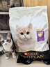 冠能猫粮幼猫猫粮3周-12月龄7kg 全价猫粮 添加牛初乳 增肥发腮 实拍图