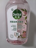 滴露（Dettol）香氛自然衣物消毒液1L*4  留香48H洗衣除汗臭 儿童玩具杀菌消毒水 实拍图