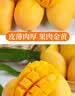 京喜加海南鲜芒果小台水果芒果新鲜上市 带箱2斤净重1.7斤70g 实拍图