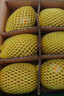 佳沛（zespri）新西兰阳光金奇异果 8个装 特大果单果重约124-146g 水果猕猴桃 实拍图