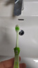 舒客宝贝儿童牙刷套装细软毛护龈小刷头舌苔刷6-12岁健齿刷3支装颜色随机 实拍图