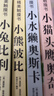 亮丽精美触摸书系列（全4册）小兔比利仿真触摸书幼儿启蒙早教书低幼认知绘本【0-2岁】宝宝绘本省钱卡 实拍图