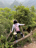 李宁（LI-NING）护膝半月板运动关节髌骨固定带男女跑步登山羽毛球膝盖护具夏季薄 实拍图