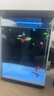 画法几何小米米家智能桌面鱼缸专用加热棒50W 小型鱼缸通用 实拍图
