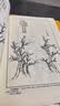 墨点美术 芥子园画谱彩色教程 芥子园画谱白话文精装版全集无删减正版包邮芥子园画传王概著巢勋临本国画临摹画册 实拍图