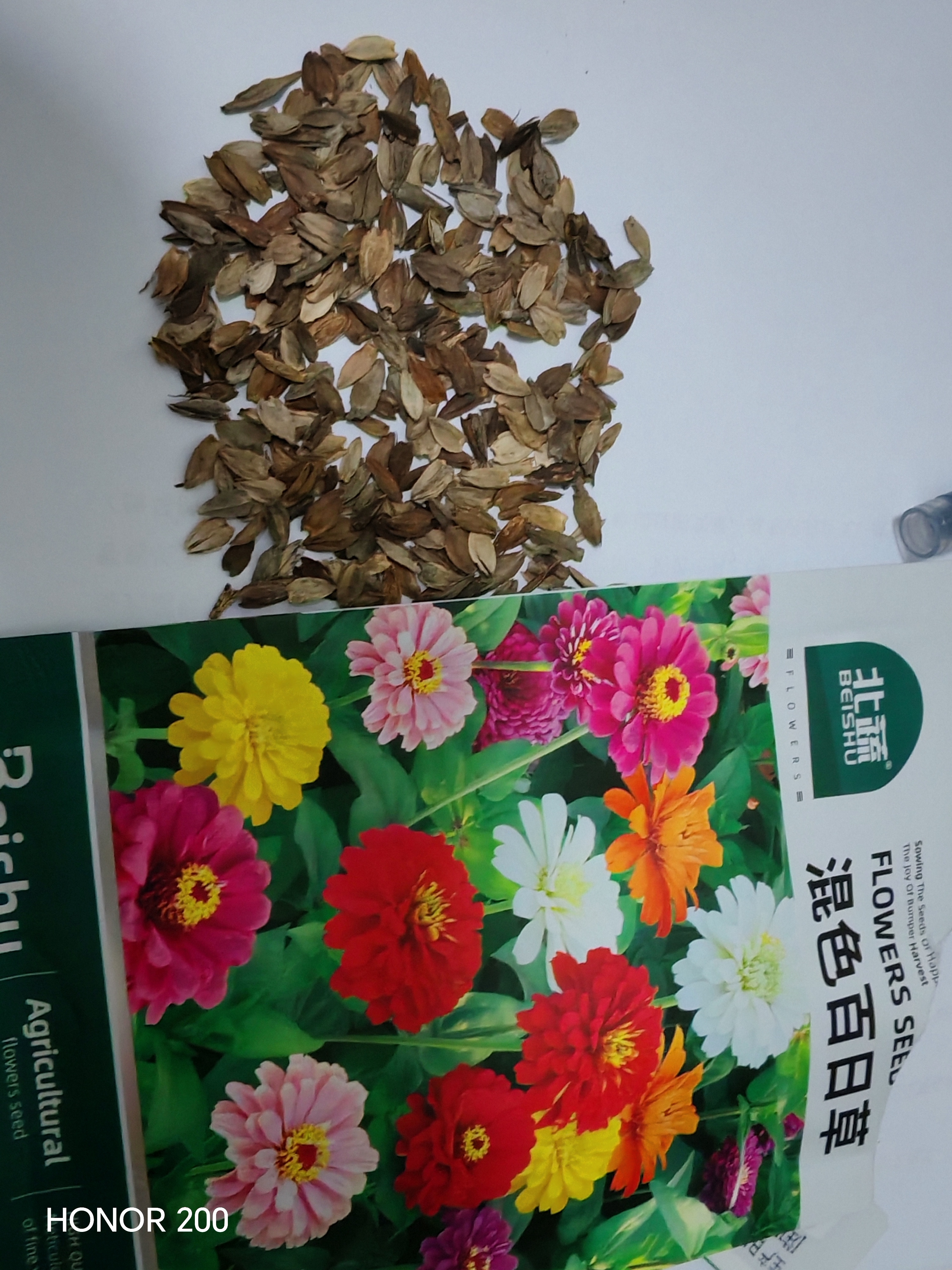 北蔬百日草花种子苗百日菊混色重瓣四季花籽 混色百日草种子约1000粒 实拍图