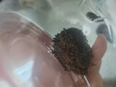 京东京造鲜来多 鸿运四大红茶500g金骏眉正山小种滇红祁门红茶叶礼盒送礼 实拍图