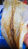 金鹏鳕鱼片500g现烤鱼片儿童孕妇即食鱼干休闲健康零食威海海鲜特产 鲜烤鱼片250g*4袋 实拍图