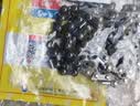 东成电链锯链条5寸0.3（29节）伐木锯锯条配件汽油链锯原装链 实拍图