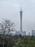 立邦免钉胶强力胶水玻璃胶瓷砖修复免打孔粘合剂踢脚线胶50g 实拍图