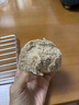 华田禾邦【药食同源】全麦八珍粉馒头1.2kg 12个 健康五谷杂粮早餐主食 实拍图