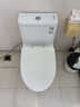 九牧（JOMOO）11173-2-1/31KD-3大力神家用马桶虹吸抗菌节水洁具305坑距 实拍图