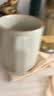 一杯香茶叶绿茶明前头采黄金芽200g2026新茶礼盒装礼品白茶安吉自己喝 实拍图