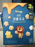 禾泱泱水果原粒果果原粒芒果味15g 5倍水果浓缩宝宝零食入口易溶 实拍图