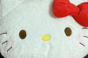 名创优品（MINISO）Hello kitty凯蒂猫花朵圆抱枕大头枕靠枕抱觉枕玩具生日礼物 粉色 实拍图