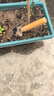 九千谷 园艺工具3件套 迷你小铲子花铲耙子套装种植家庭种菜养花2012 实拍图